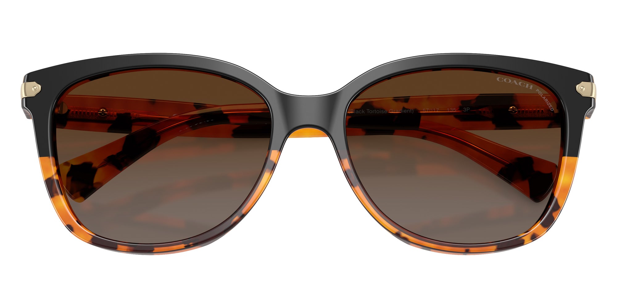 Coach HC8132 L109 5438T5 57 - Black Tortoise Gradient / Brown Gradient Polarized #id:hc81325438t5_s:106120
