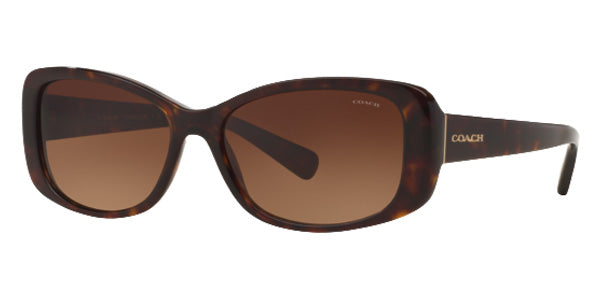Coach HC8168 L156 512013 56 - Dark Tortoise / Brown Gradient #id:hc8168512013_s:100100