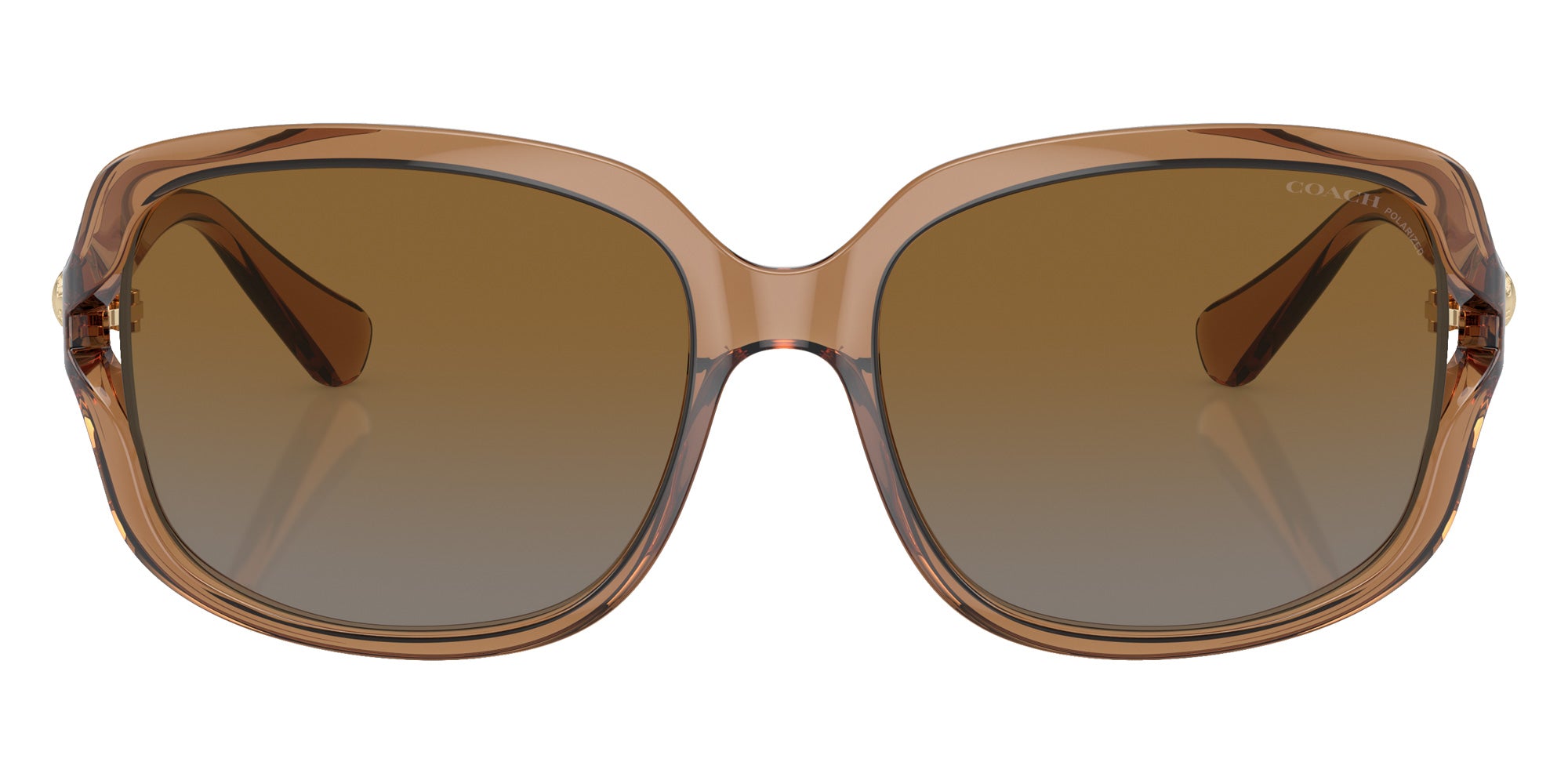 Coach HC8169 L149 5561T5 57 - Transparent Brown / Brown Gray Gradient Polarized #id:hc81695561t5_s:102100