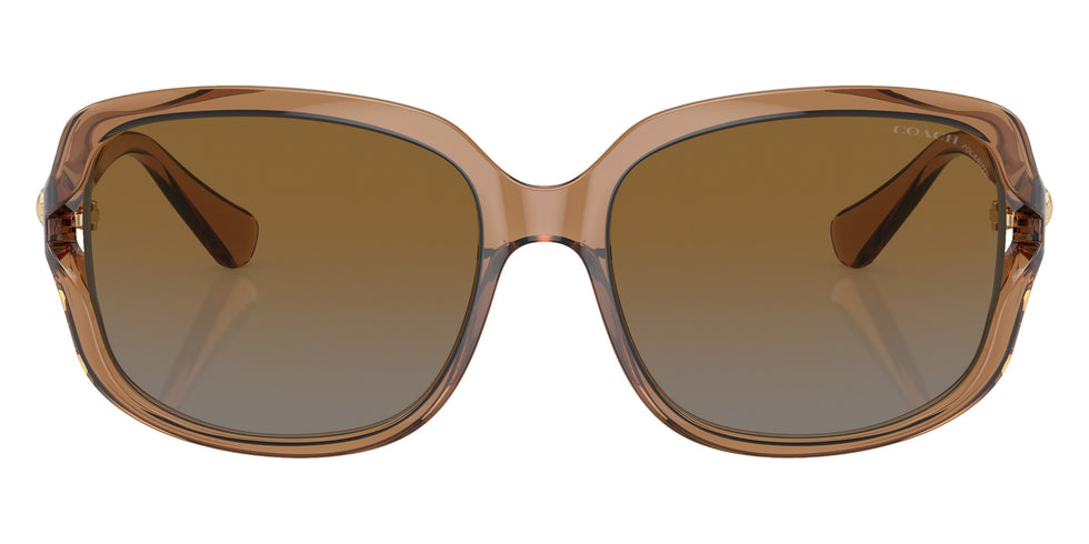 Coach HC8169 L149 5561T5 57 - Transparent Brown / Brown Gray Gradient Polarized #id:hc81695561t5_s:102100
