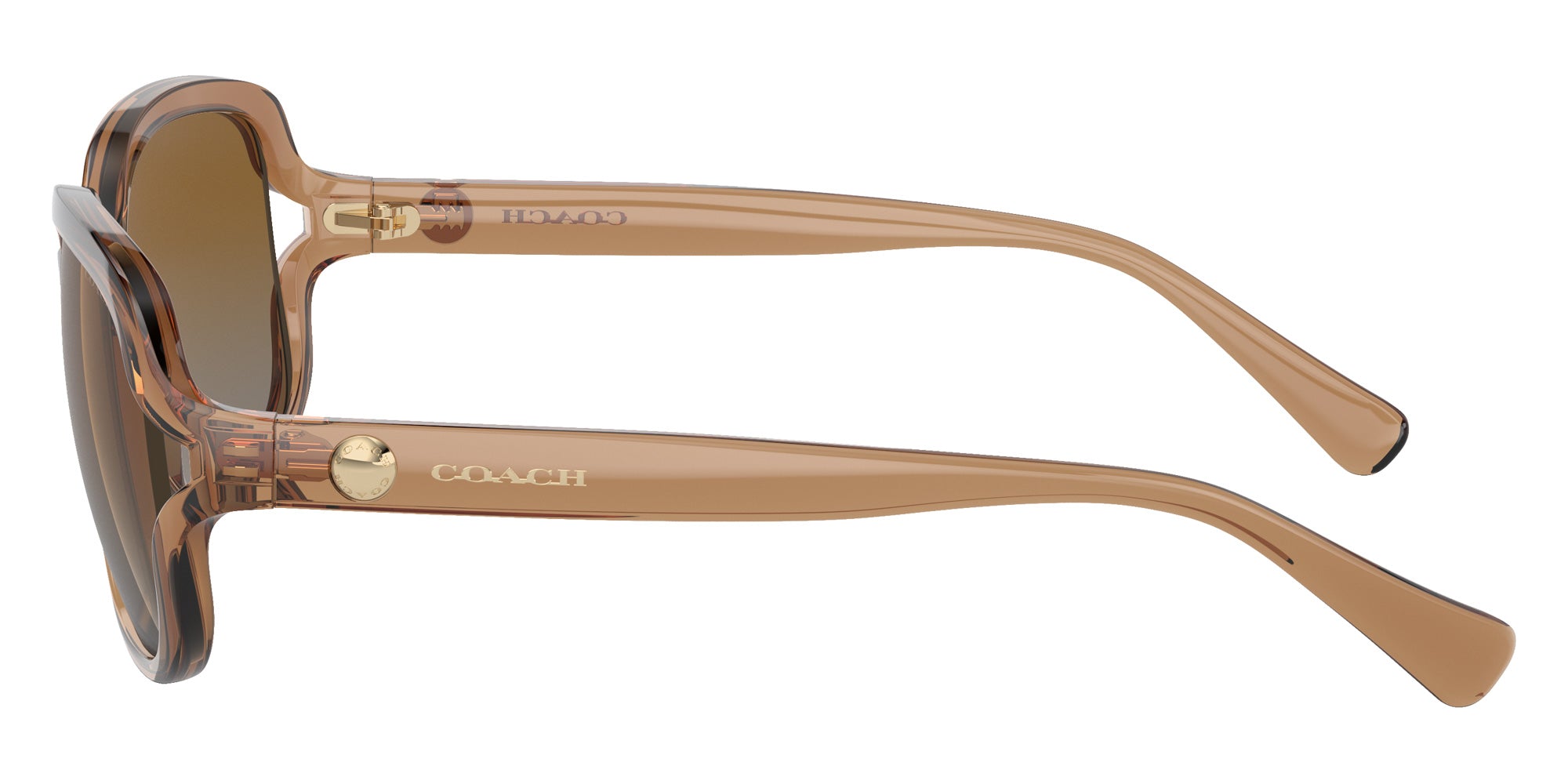 Coach HC8169 L149 5561T5 57 - Transparent Brown / Brown Gray Gradient Polarized #id:hc81695561t5_s:102110