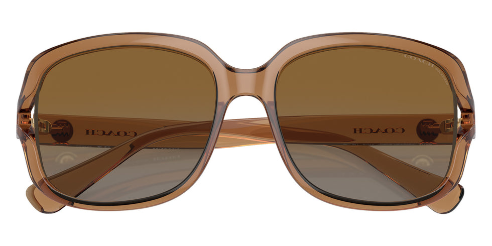 Coach HC8169 L149 5561T5 57 - Transparent Brown / Brown Gray Gradient Polarized #id:hc81695561t5_s:102120