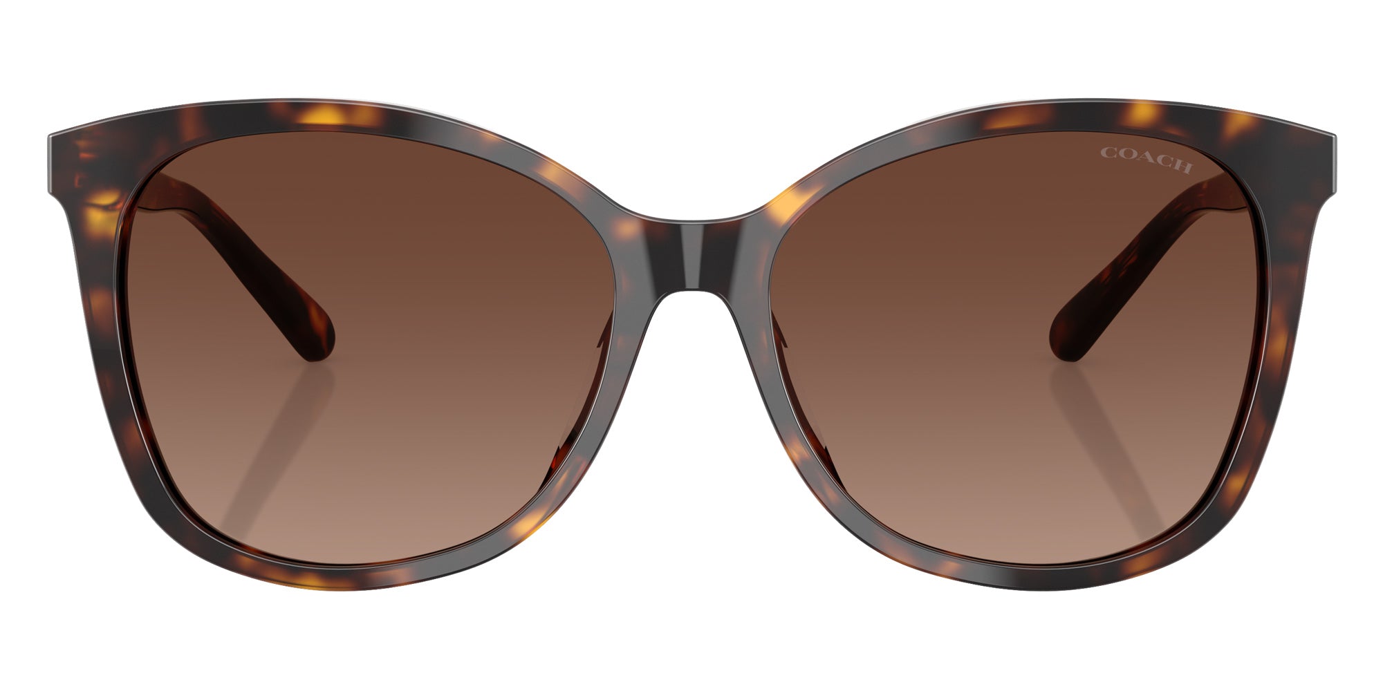 Coach HC8271U L1101 5120T5 57 - Dark Tortoise / Dark Brown Gradient Polarized #id:hc8271u5120t5_s:106100