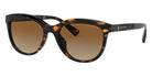 Coach HC8285U L1137 5120T5 56 - Dark Tortoise / Brown Gradient Polarized #id:hc8285u5120t5_s:102100