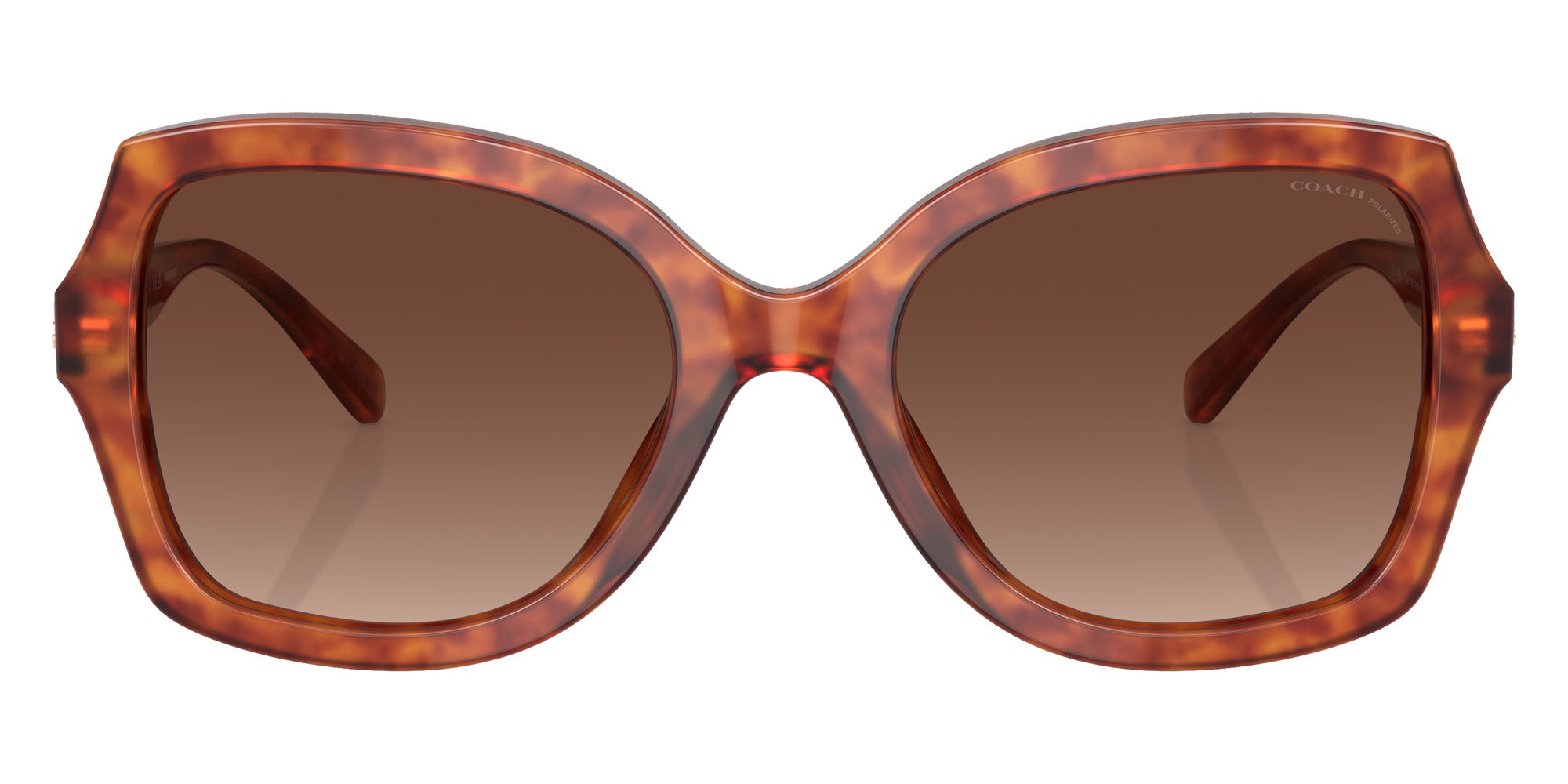 Coach HC8295 L1147 5774T5 56 - Caramel Tortoise / Brown Gradient Polarized #id:hc82955774t5_s:104100