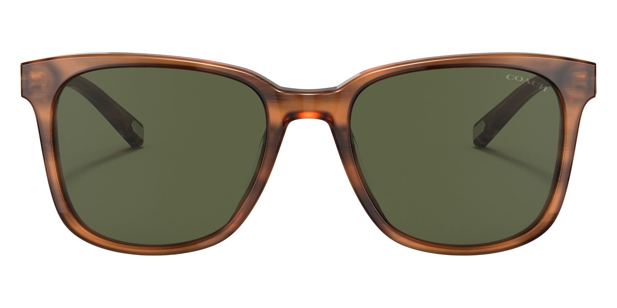 Coach HC8313U C2095 558171 54 - Amber Horn / Dark Green Solid #id:hc8313u558171_s:100100