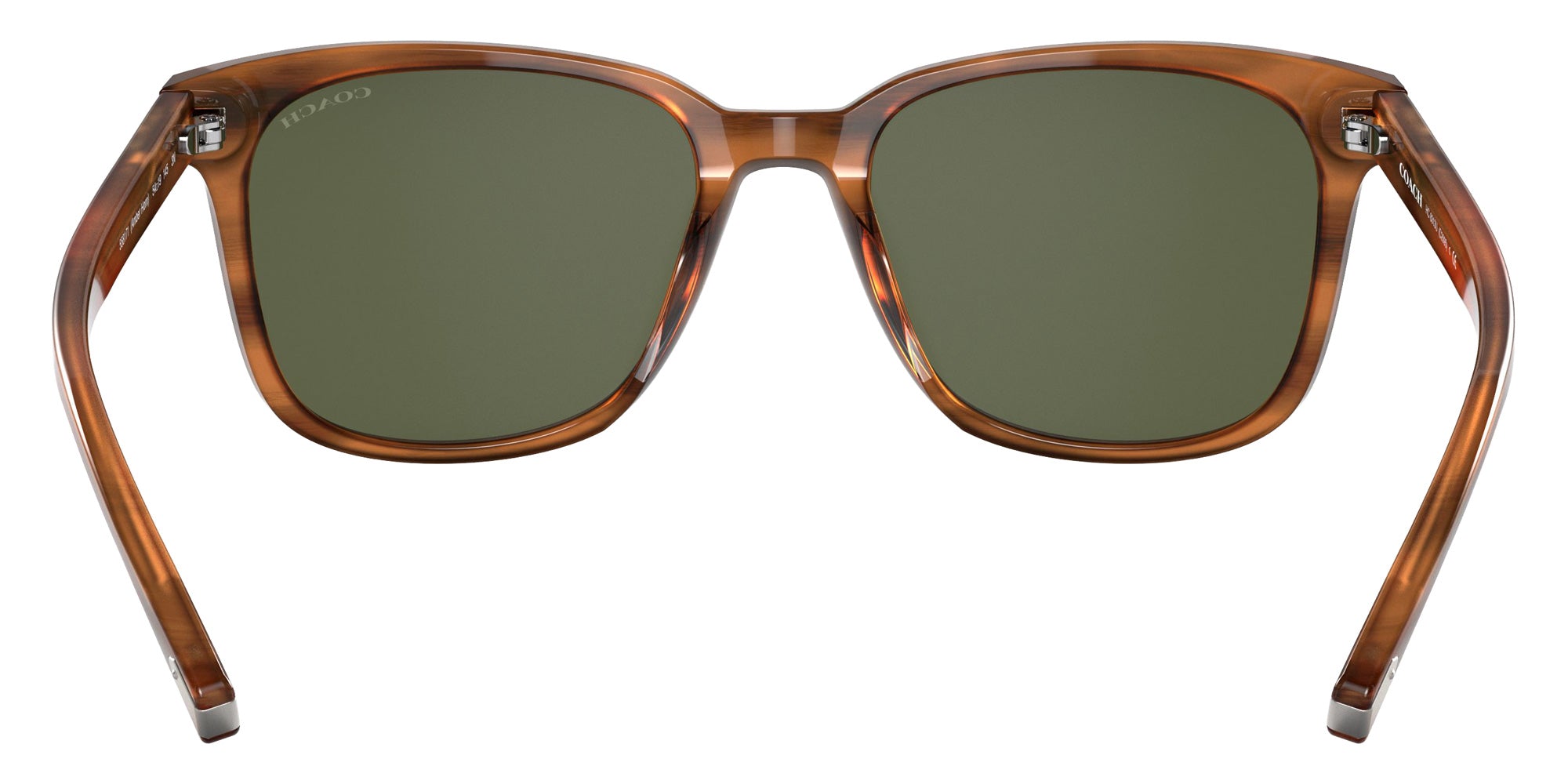 Coach HC8313U C2095 558171 54 - Amber Horn / Dark Green Solid #id:hc8313u558171_s:100115