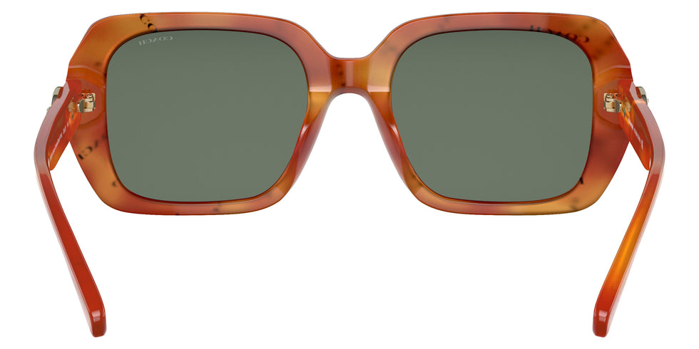 Coach HC8329U C6188 56603H 53 - Amber Tortoise/Coach Print / Dark Green Solid #id:hc8329u56603h_s:104115