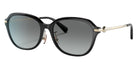 Coach HC8332D C6199 500211 56 - Black / Gray Gradient #id:hc8332d500211_s:100105