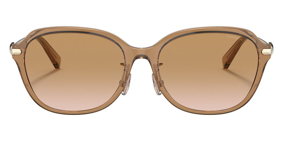 Coach HC8332D C6199 565413 56 - Transparent Brown / Brown Gradient #id:hc8332d565413_s:104100