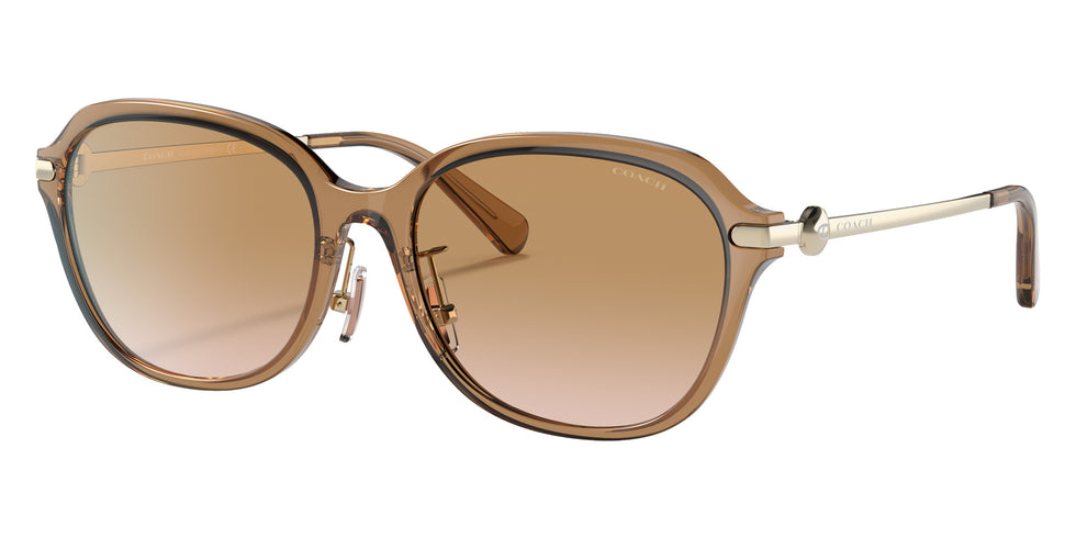Coach HC8332D C6199 565413 56 - Transparent Brown / Brown Gradient #id:hc8332d565413_s:104105