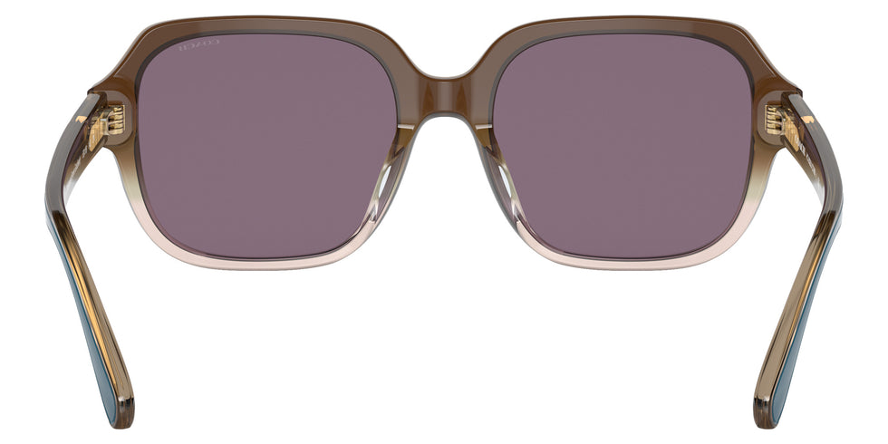 Coach HC8335U C7989 56781A 53 - Transparent Brown Gradient / Violet Solid #id:hc8335u56781a_s:104115