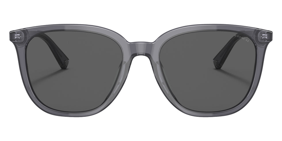 Coach HC8338U C8006 553787 55 - Transparent Dark Gray / Dark Gray Solid #id:hc8338u553787_s:102100