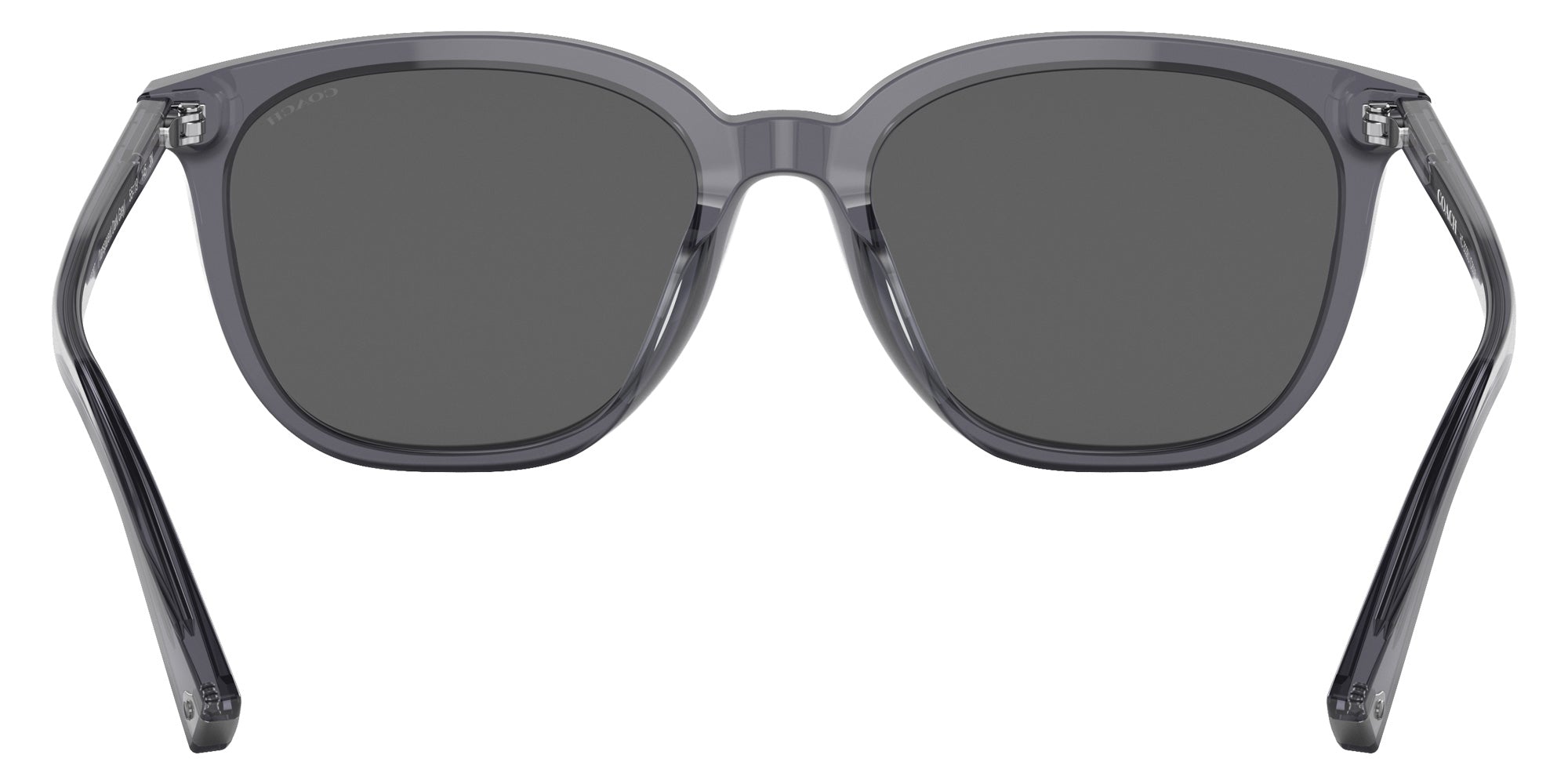 Coach HC8338U C8006 553787 55 - Transparent Dark Gray / Dark Gray Solid #id:hc8338u553787_s:102115