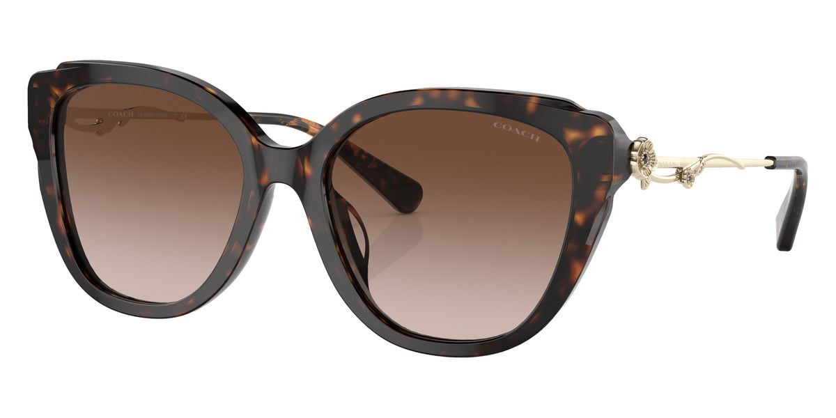 Coach HC8347BU C9199 512013 55 - Dark Tortoise / Brown Gradient #id:hc8347bu512013_s:100105