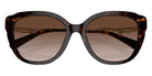 Coach HC8347BU C9199 512013 55 - Dark Tortoise / Brown Gradient #id:hc8347bu512013_s:100120