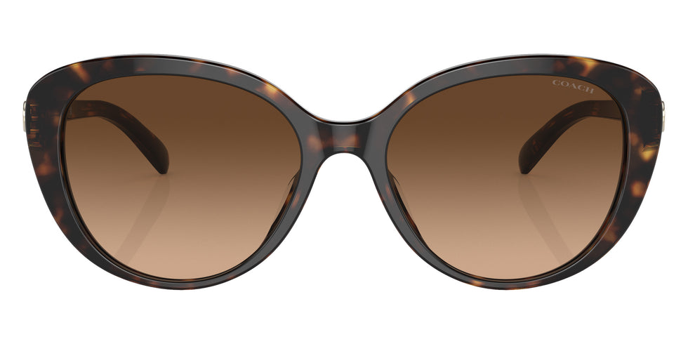 Coach HC8348U CD479 512074 56 - Dark Tortoise / Brown Gradient #id:hc8348u512074_s:100100