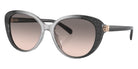 Coach HC8348U CD479 57103B 56 - Gray Gradient / Gray Pink Gradient #id:hc8348u57103b_s:102105