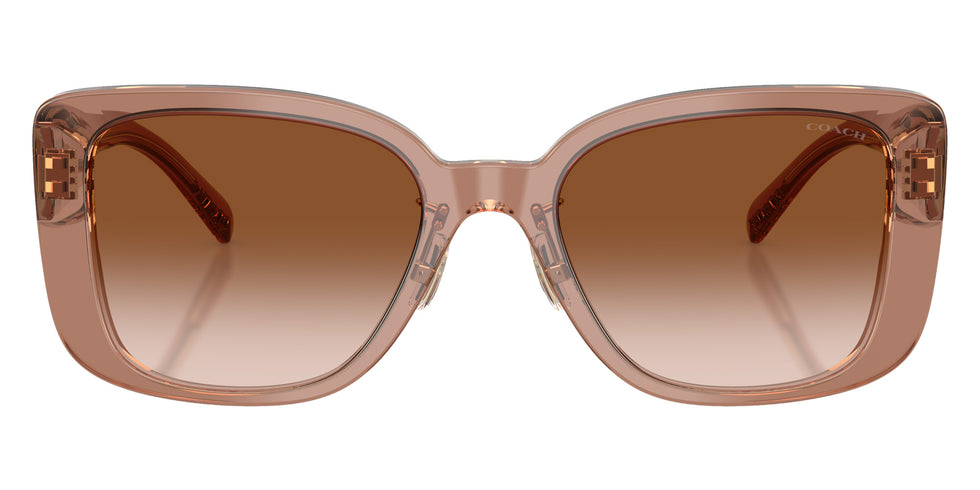 Coach HC8352 CD472 577913 54 - Brown/Gray / Brown Gradient #id:hc8352577913_s:106100