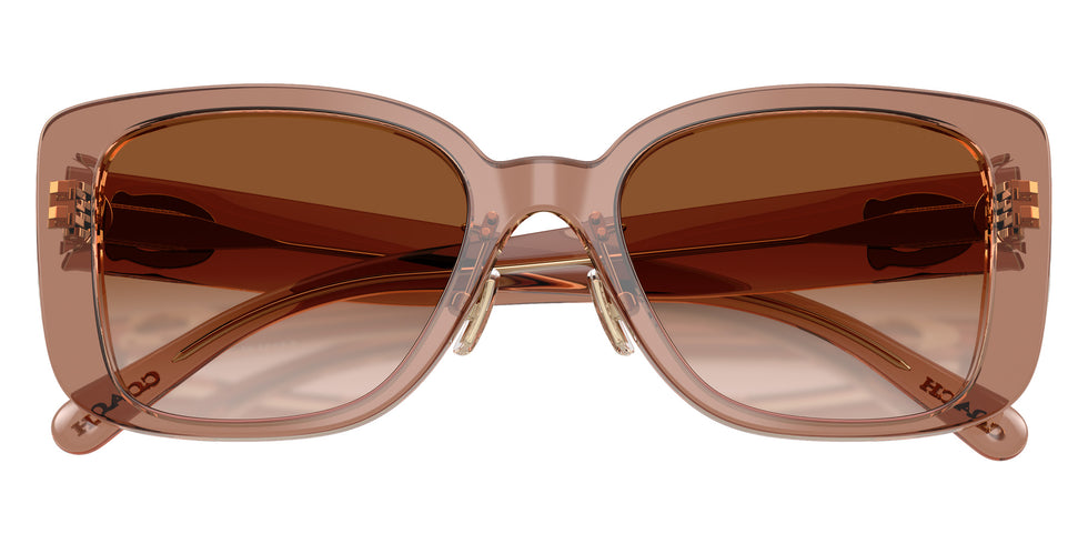 Coach HC8352 CD472 577913 54 - Brown/Gray / Brown Gradient #id:hc8352577913_s:106120