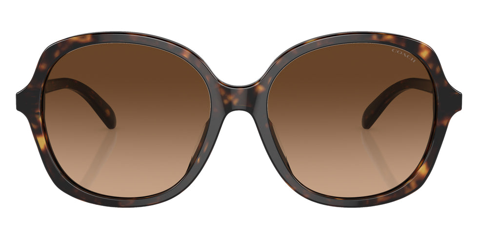 Coach HC8360U CH557 512074 57 - Dark Tortoise / Brown Gradient #id:hc8360u512074_s:100100