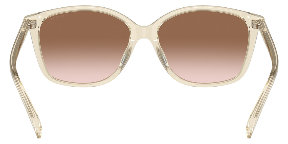 Coach HC8361U CH558 573613 57 - Transparent Fawn / Brown Gradient #id:hc8361u573613_s:100115