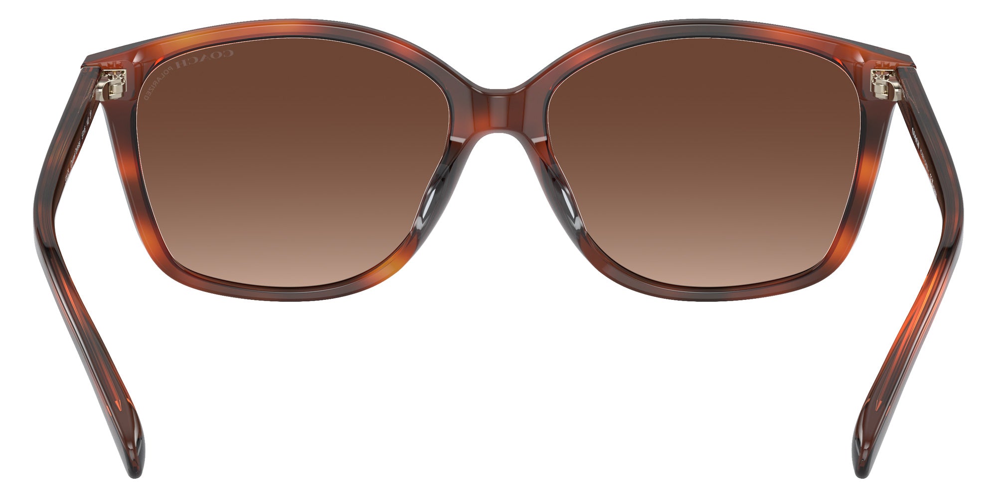 Coach HC8361U CH558 5741T5 57 - Caramel Tortoise / Brown Gradient Polarized #id:hc8361u5741t5_s:104115