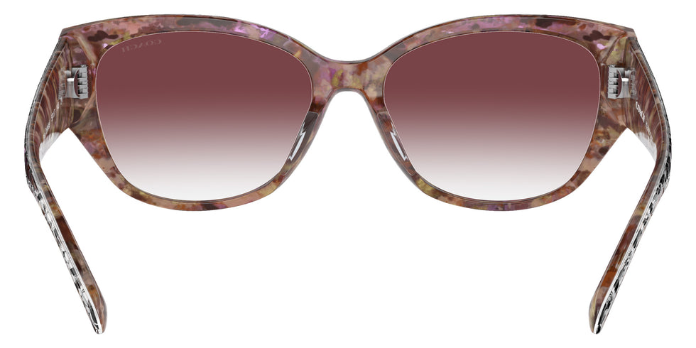Coach HC8362U CH563 57398H 57 - Petal Tortoise / Purple Clear Gradient #id:hc8362u57398h_s:102115