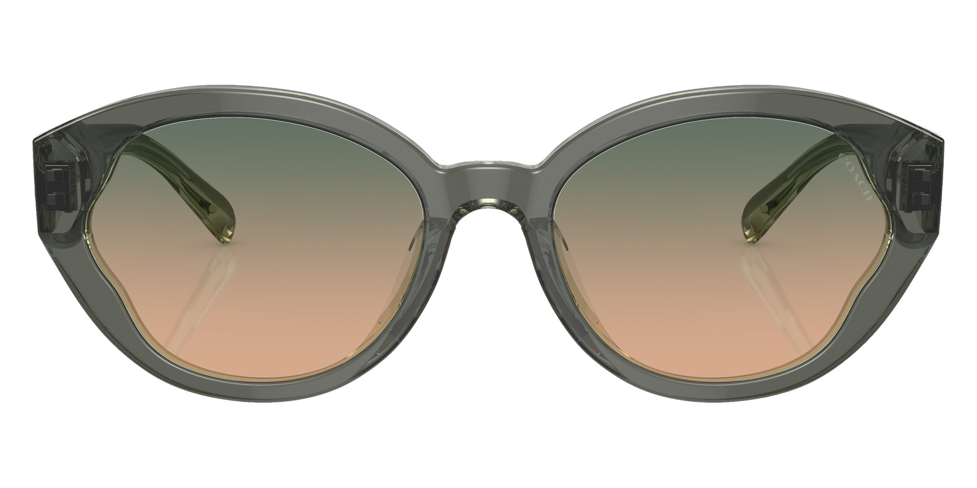 Coach HC8364U CH569 574613 55 - Moss/Mint / Green Beige Gradient #id:hc8364u574613_s:100100