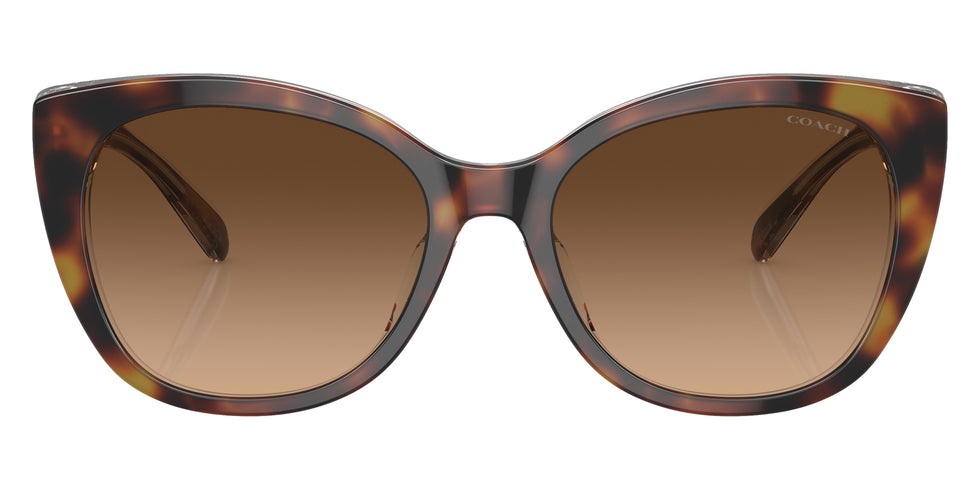 Coach HC8365U CH566 574274 55 - Tortoise/Transparent Beige / Brown Gradient #id:hc8365u574274_s:100100