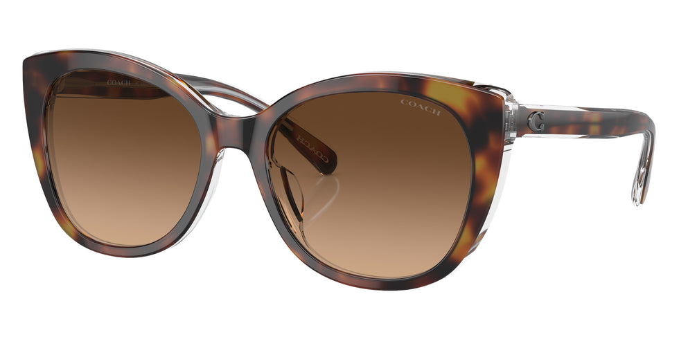 Coach HC8365U CH566 574274 55 - Tortoise/Transparent Beige / Brown Gradient #id:hc8365u574274_s:100105