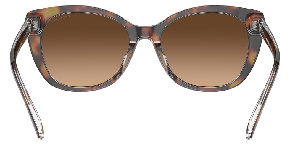 Coach HC8365U CH566 574274 55 - Tortoise/Transparent Beige / Brown Gradient #id:hc8365u574274_s:100115