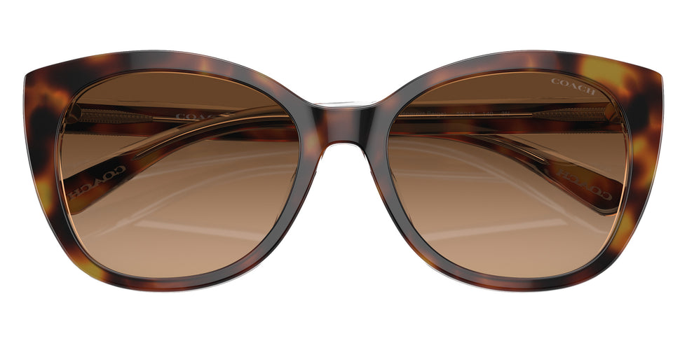 Coach HC8365U CH566 574274 55 - Tortoise/Transparent Beige / Brown Gradient #id:hc8365u574274_s:100120