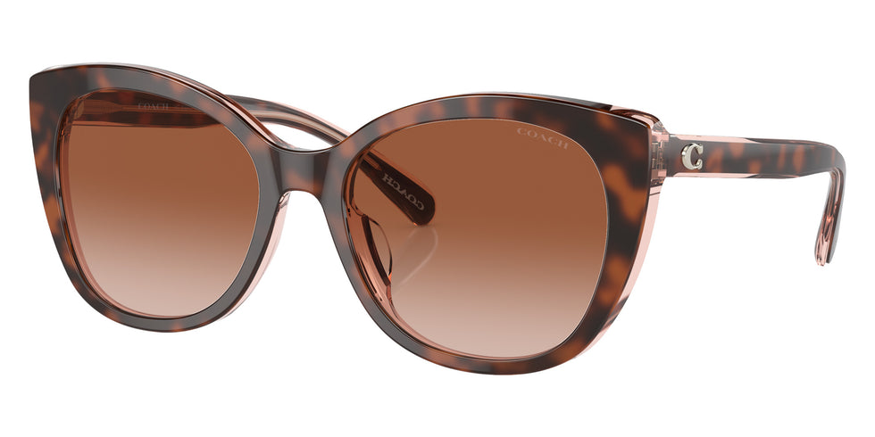 Coach HC8365U CH566 574413 55 - Tortoise/Transparent Pink / Brown Pink Gradient #id:hc8365u574413_s:102105