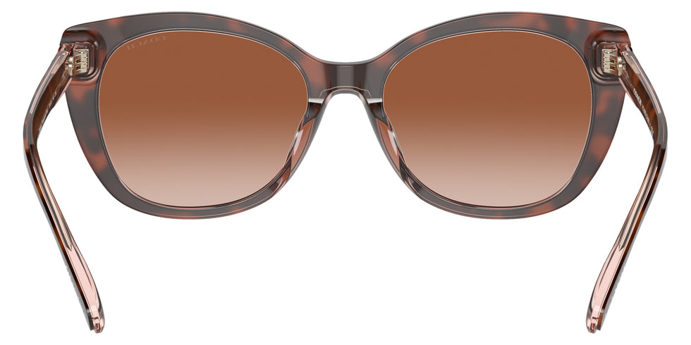 Coach HC8365U CH566 574413 55 - Tortoise/Transparent Pink / Brown Pink Gradient #id:hc8365u574413_s:102115