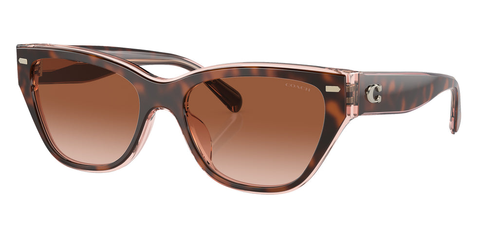 Coach HC8370U CH570 574413 54 - Tortoise/Transparent Pink / Brown Pink Gradient #id:hc8370u574413_s:100105
