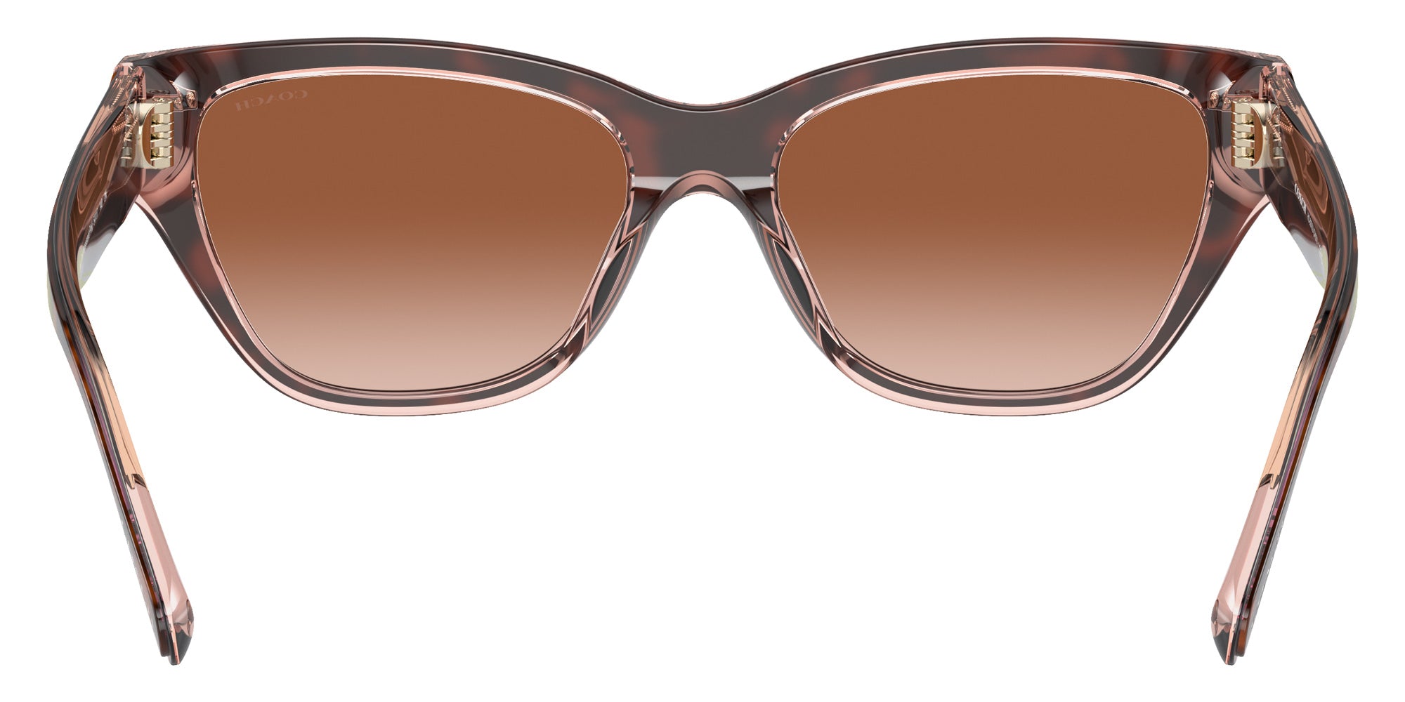 Coach HC8370U CH570 574413 54 - Tortoise/Transparent Pink / Brown Pink Gradient #id:hc8370u574413_s:100115