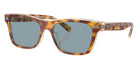 Coach HC8371U CH583 575672 54 - Tortoise/Transparent Beige / Light Blue Solid #id:hc8371u575672_s:100105