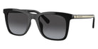 Coach HC8374F CK463 50028G 54 - Black / Gray Gradient #id:hc8374f50028g_s:100105
