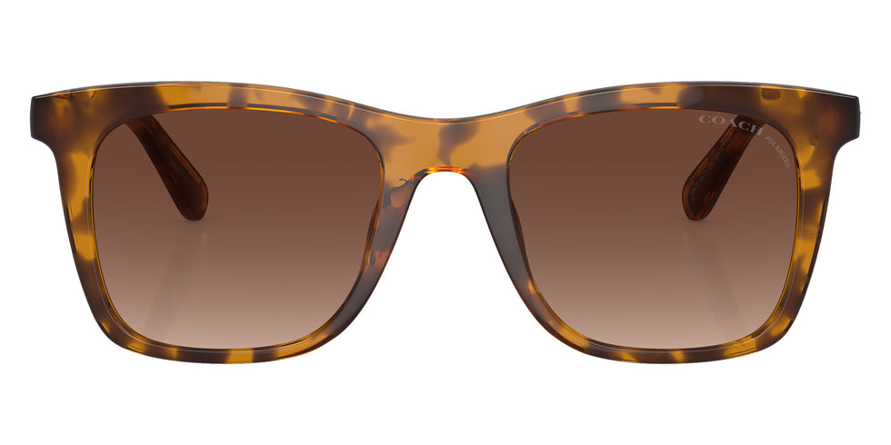 Coach HC8374F CK463 5120T5 54 - Dark Tortoise / Brown Gradient Polarized #id:hc8374f5120t5_s:102100