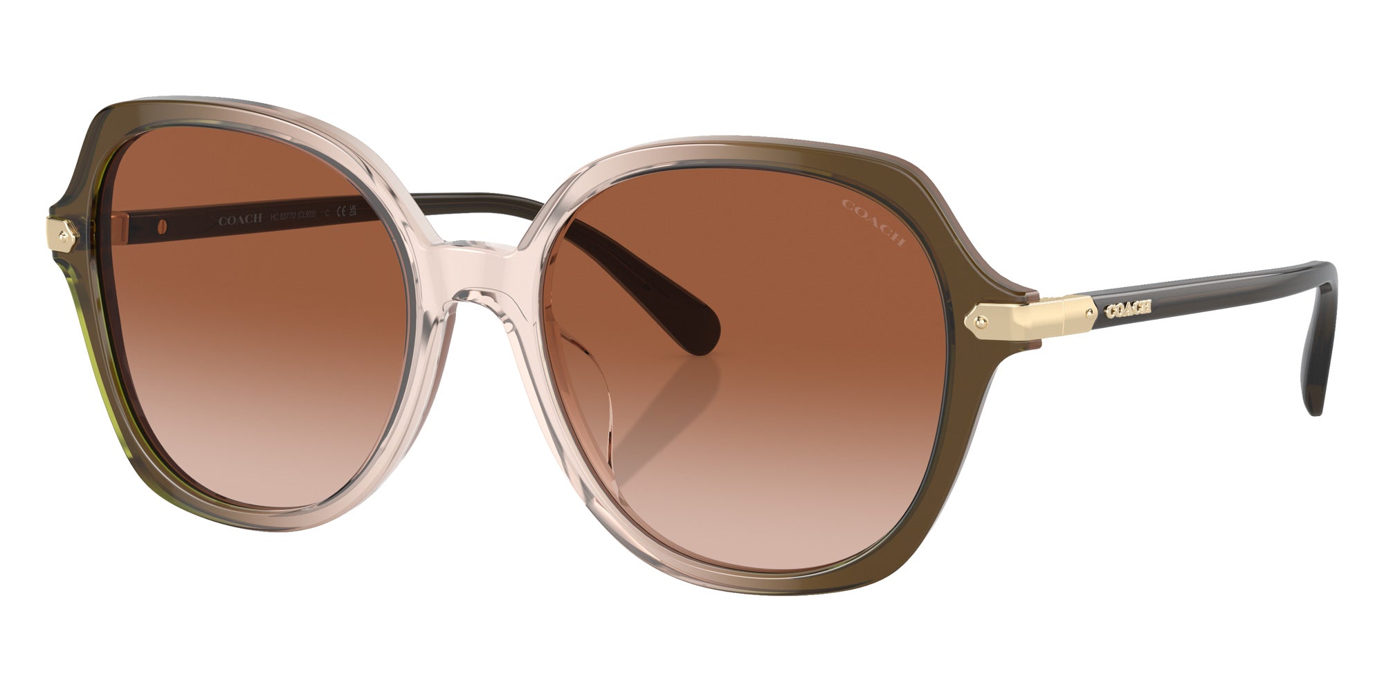 Coach HC8377U CL925 540013 55 - Olive Beige Gradient / Brown Gradient #id:hc8377u540013_s:102105
