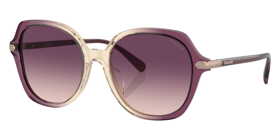 Coach HC8377U CL925 57737W 55 - Multi / Purple Gradient #id:hc8377u57737w_s:104105