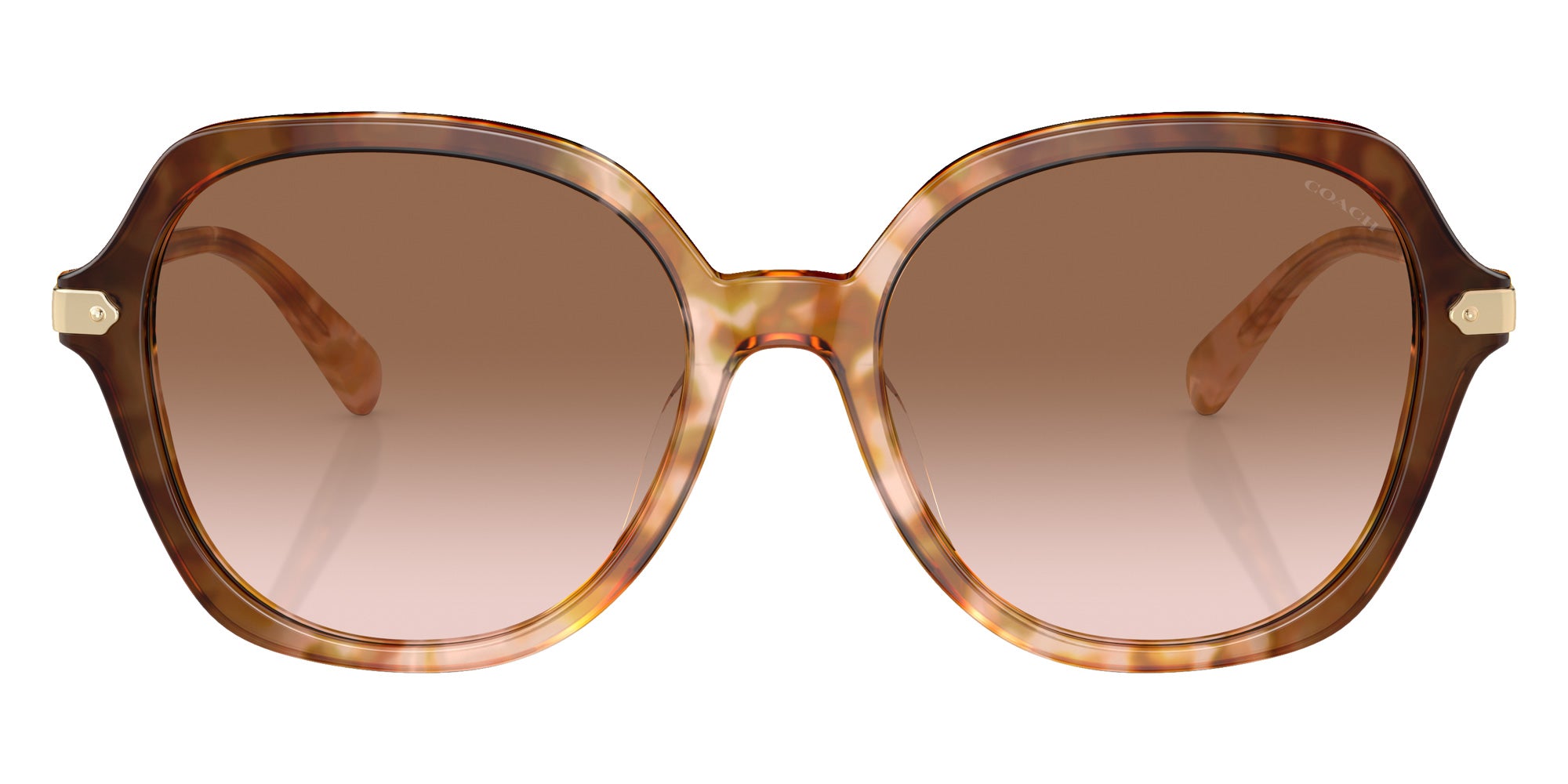 Coach HC8377U CL925 57753C 55 - Caramel Snow Tortoise Gradient / Brown Pink Gradient #id:hc8377u57753c_s:106100
