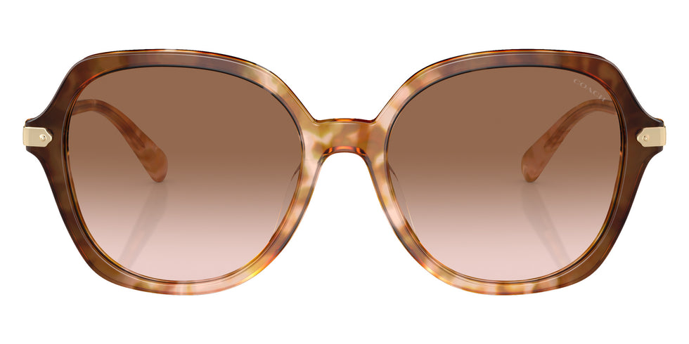 Coach HC8377U CL925 57753C 55 - Caramel Snow Tortoise Gradient / Brown Pink Gradient #id:hc8377u57753c_s:106100