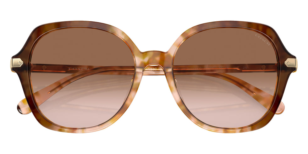 Coach HC8377U CL925 57753C 55 - Caramel Snow Tortoise Gradient / Brown Pink Gradient #id:hc8377u57753c_s:106120
