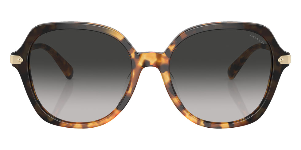 Coach HC8377U CL925 577613 55 - Honey Tortoise Black Gradient / Gray Gradient #id:hc8377u577613_s:108100