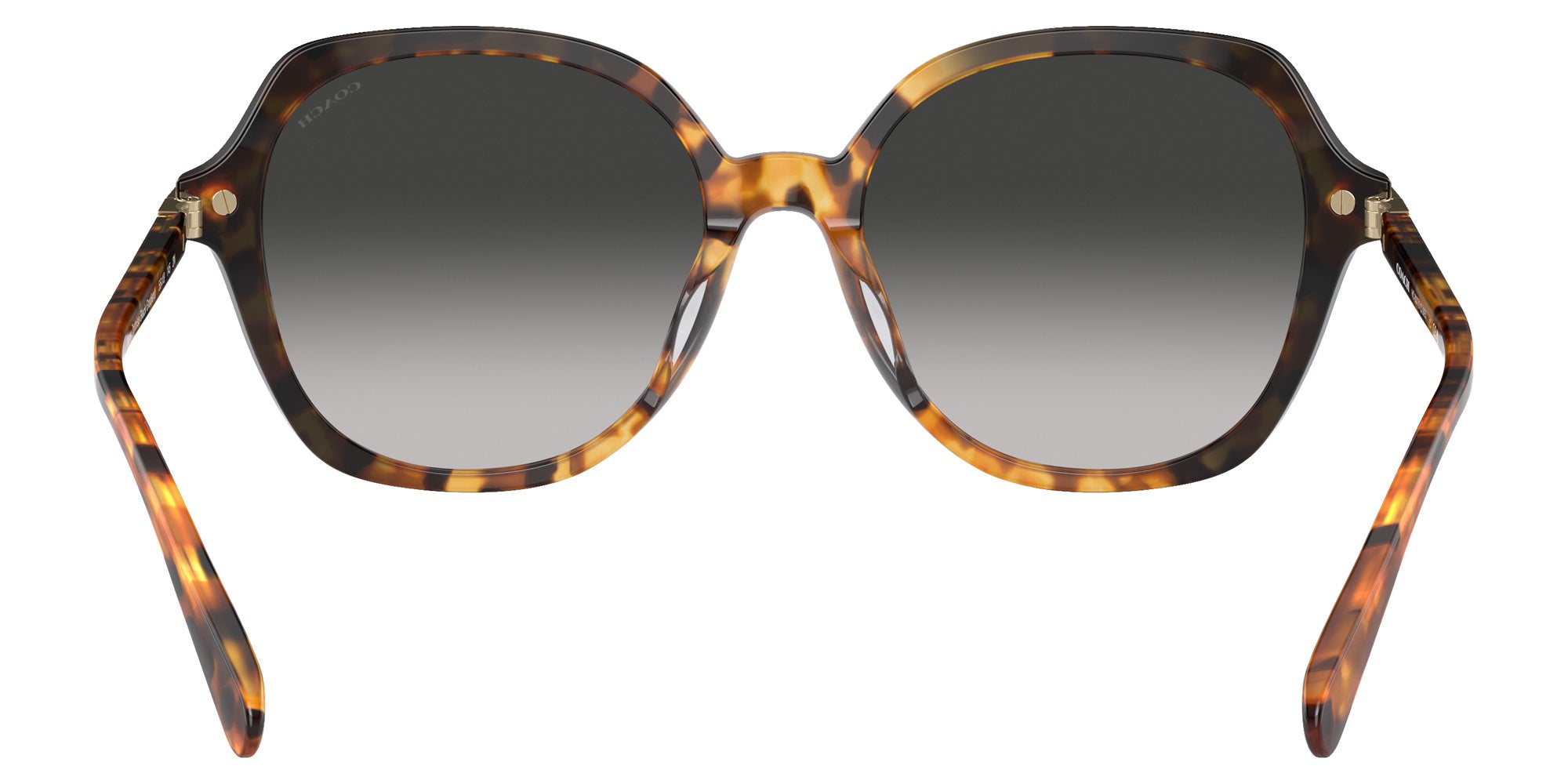 Coach HC8377U CL925 577613 55 - Honey Tortoise Black Gradient / Gray Gradient #id:hc8377u577613_s:108115