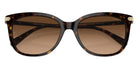 Coach HC8378U CL926 512074 57 - Dark Tortoise / Brown Gradient #id:hc8378u512074_s:102120