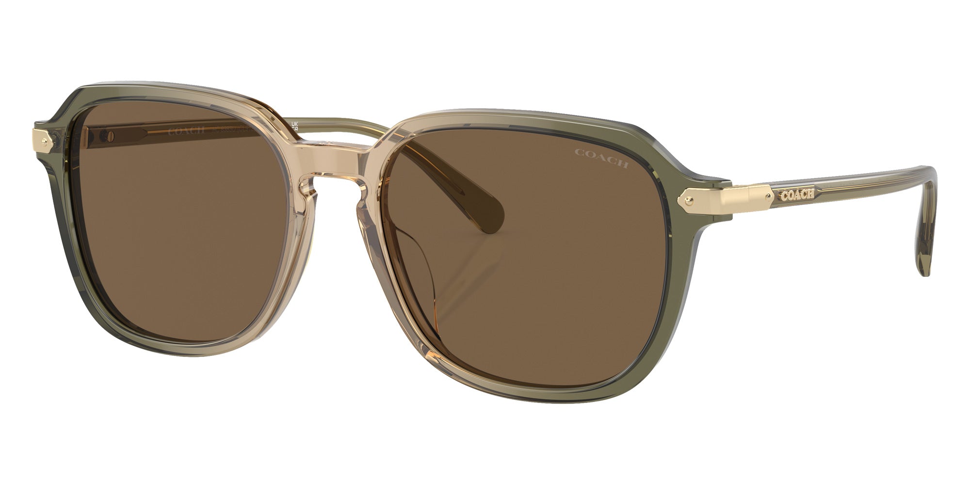 Coach HC8383U CL912 579773 55 - Transparent Green Tan Gradient / Brown Solid #id:hc8383u579773_s:104105