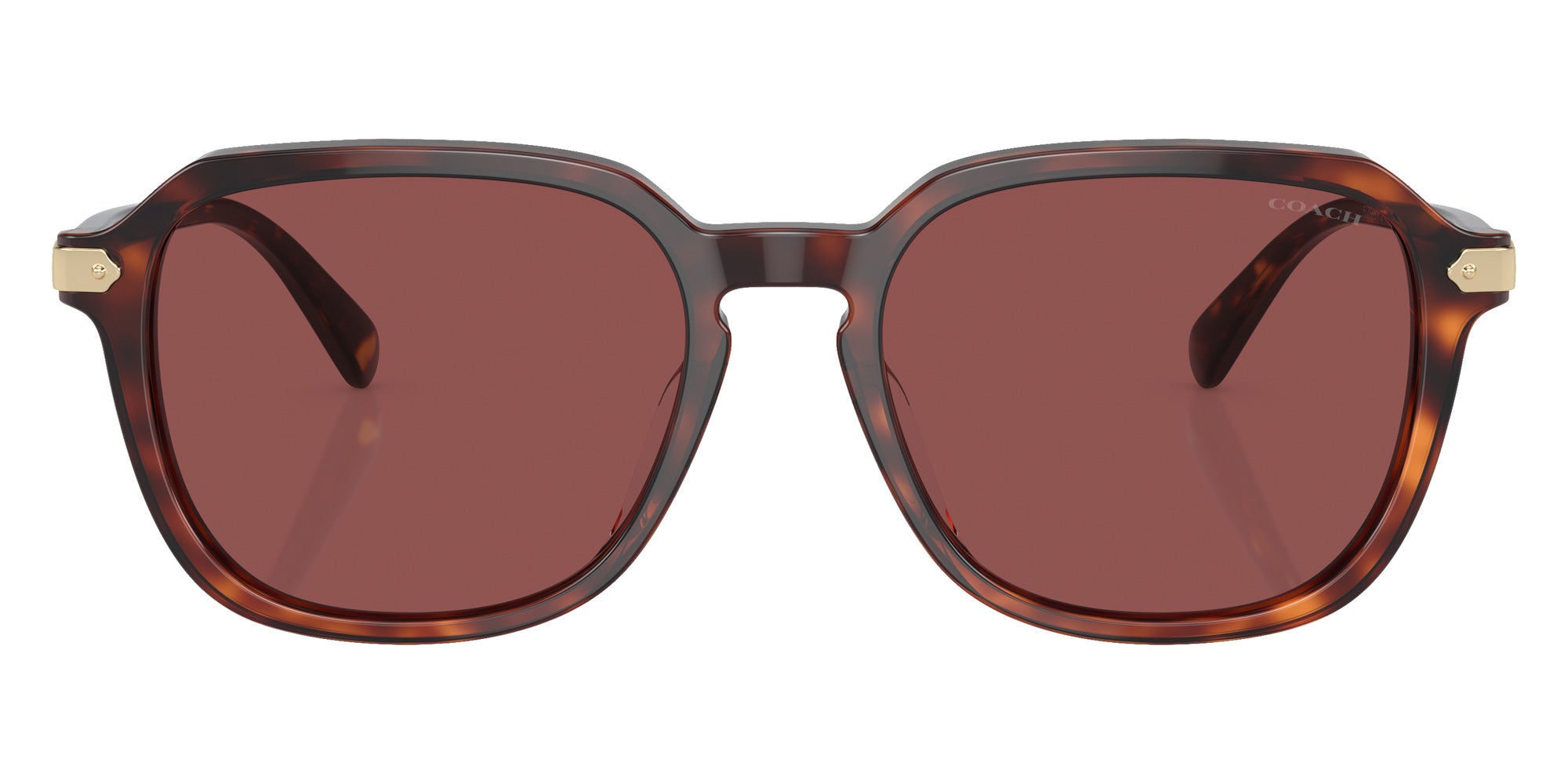 Coach HC8383U CL912 579875 55 - Dark Tortoise/Caramel Tortoise / Violet #id:hc8383u579875_s:106100